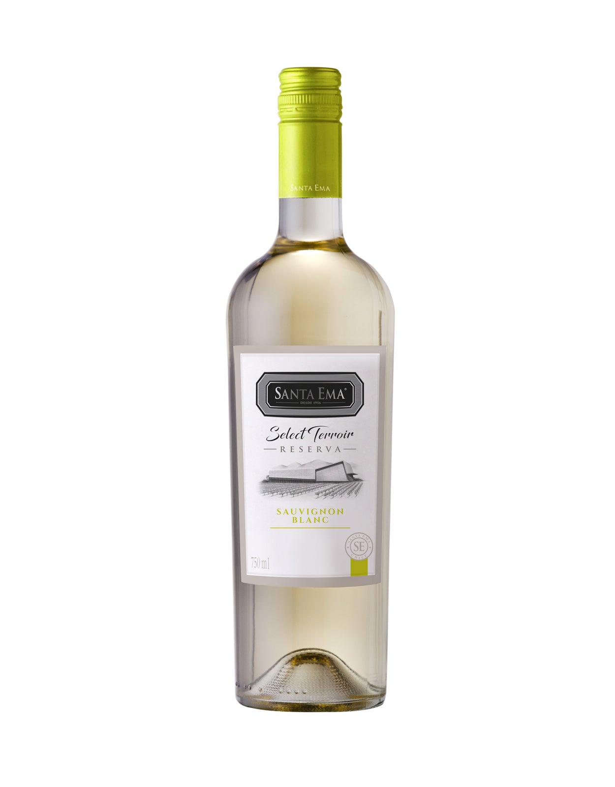Santa Ema Sauvignon Blanc Select Terroir Reserva 2023