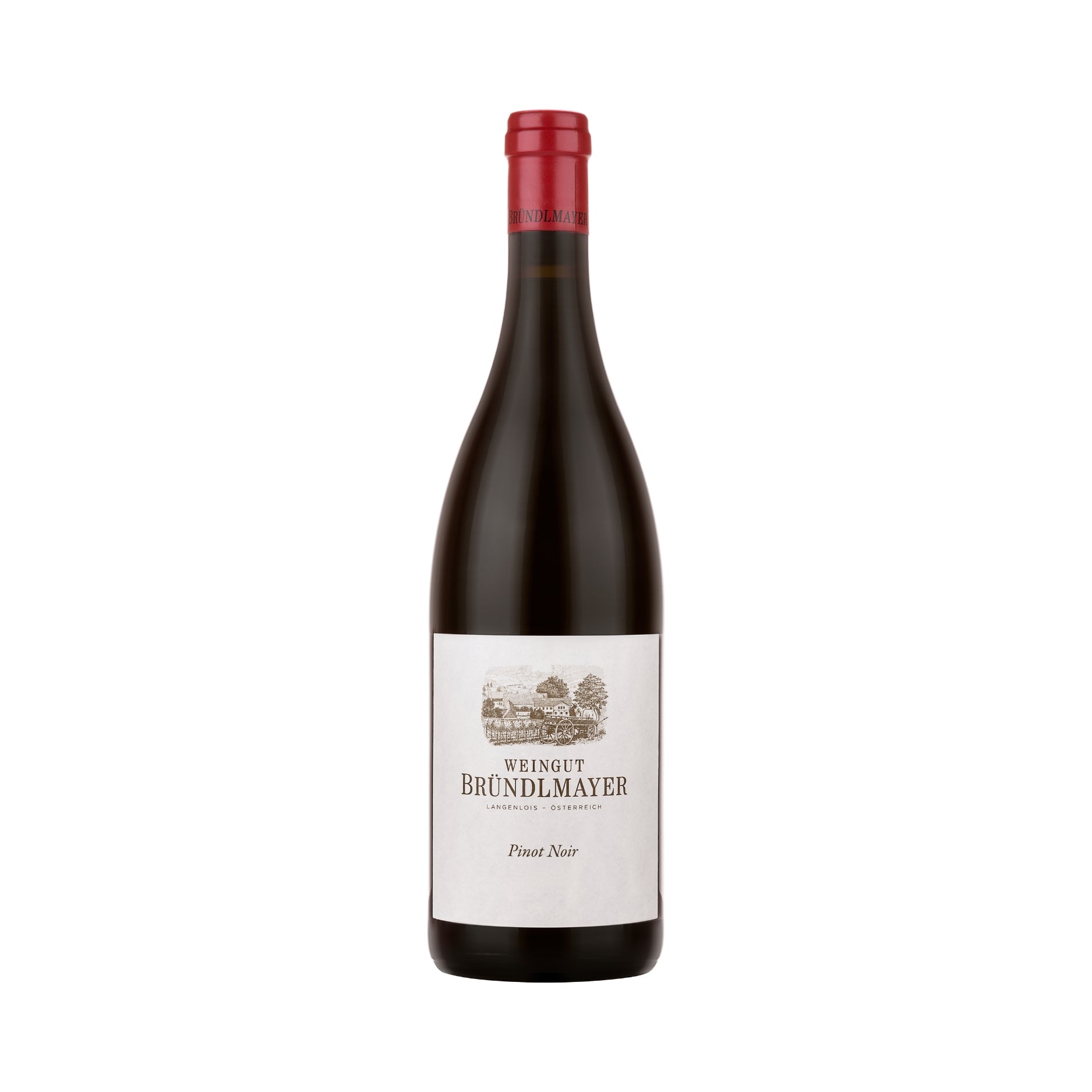 Weingut Brundlmayer Reserve Pinot Noir - Blauburgunder (case of 6)