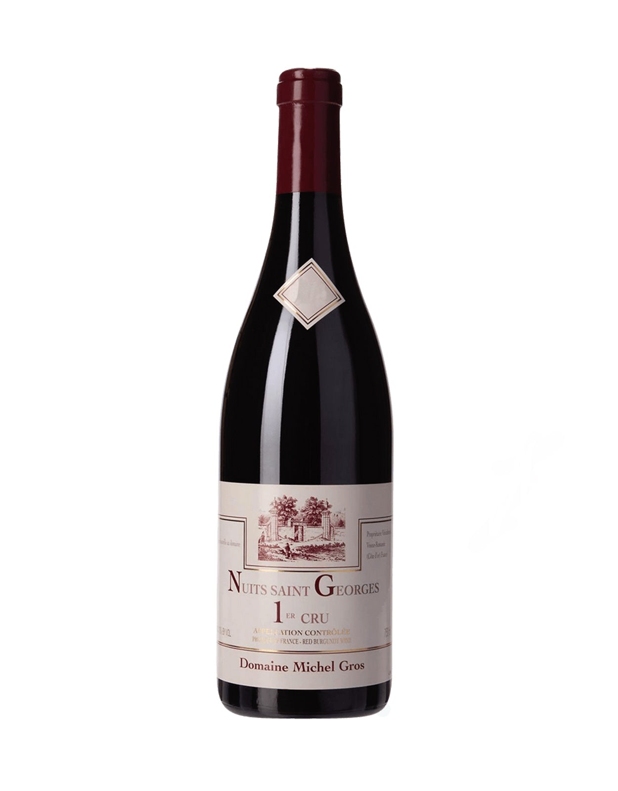 Domaine Michel Gros Nuits Saint Georges Premier Cru 2022