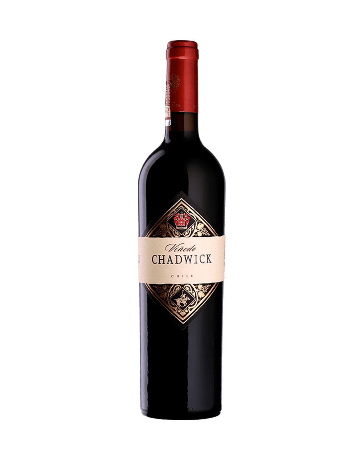 Vinedo Chadwick 2019 - 1.5 Litre Bottle