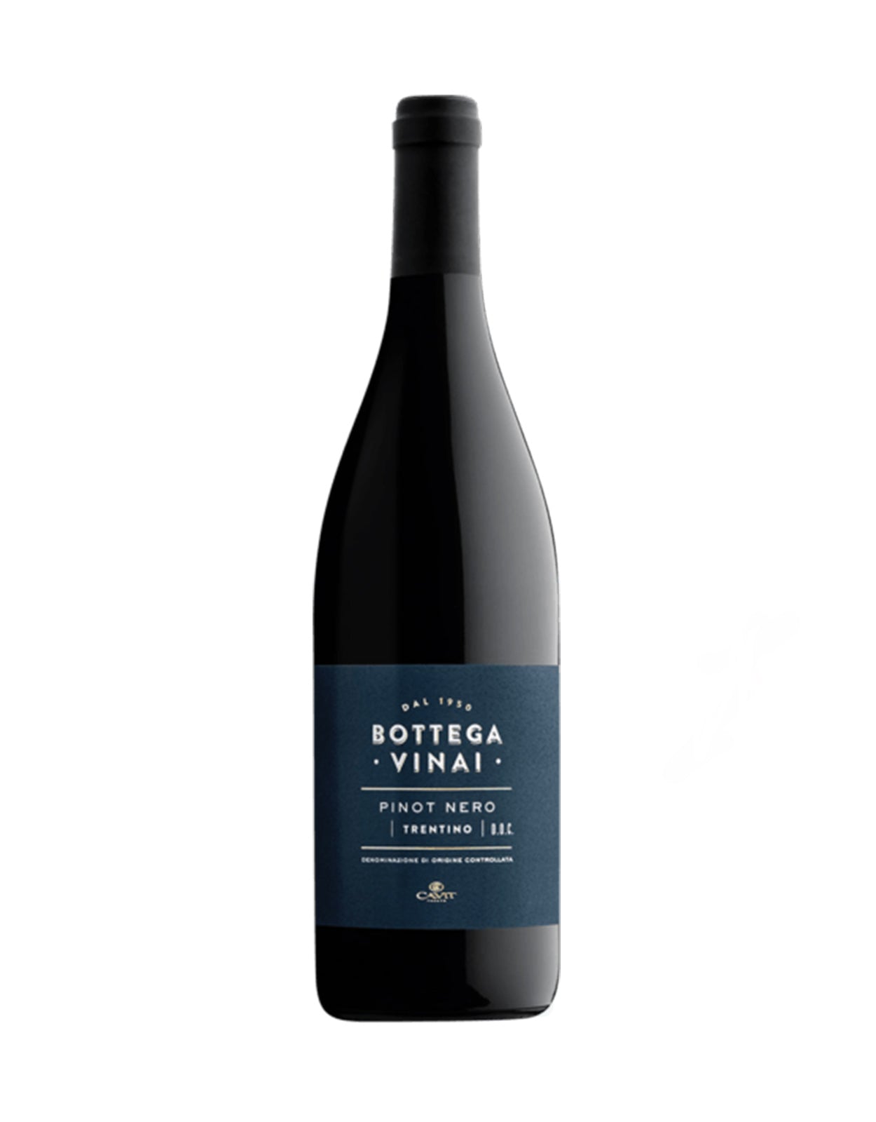 Bottega Vinai Pinot Nero 2020