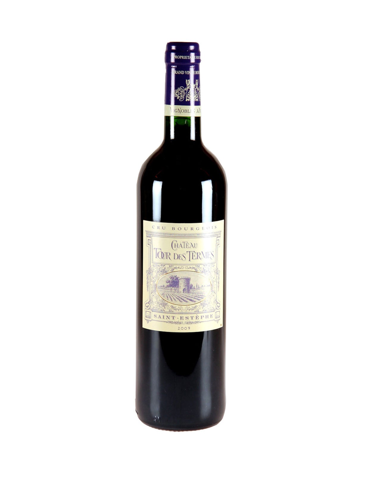Chateau Tour des Termes 2017