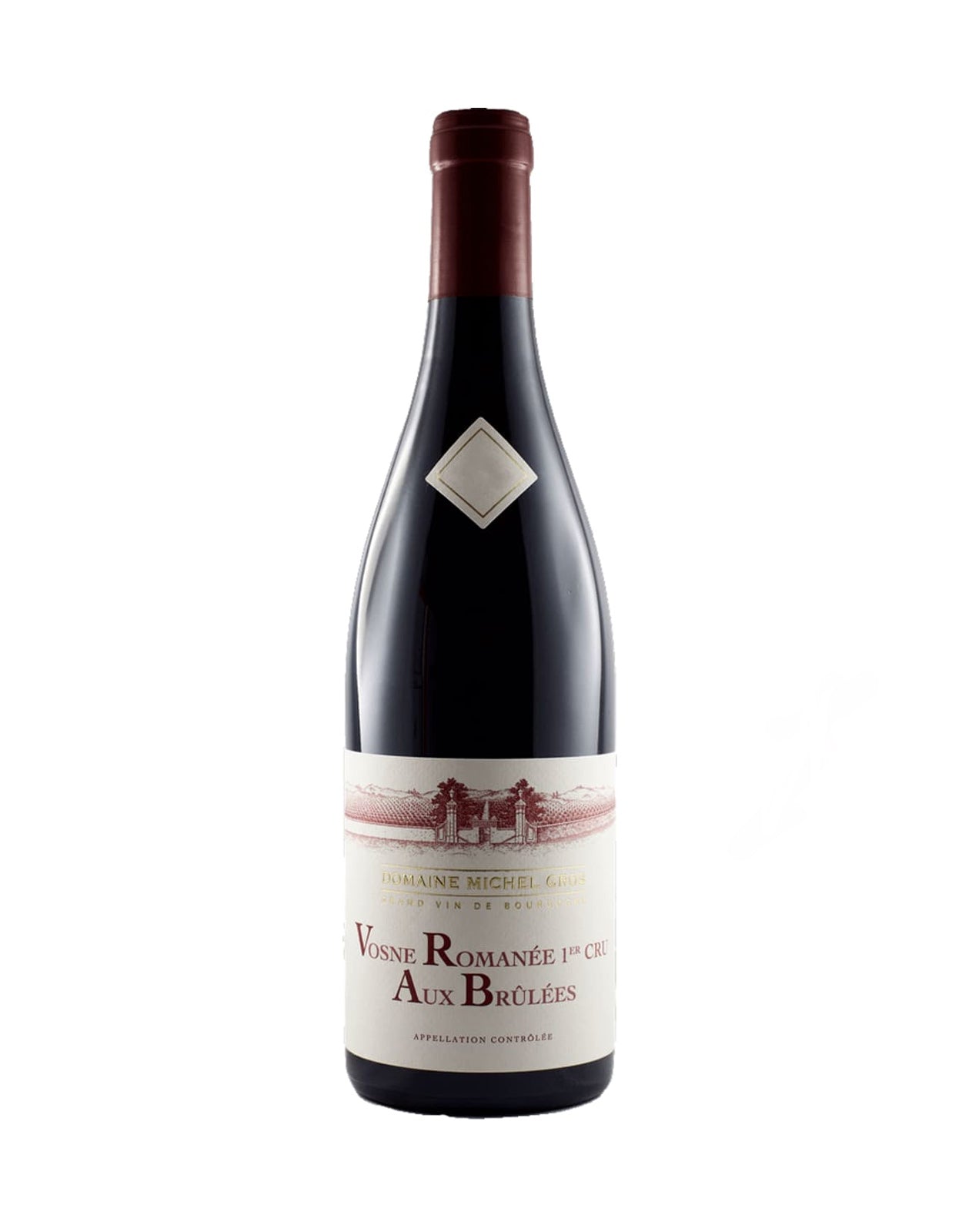 Domaine Michel Gros Vosne Romanee 'Aux Brulees' Premier Cru 2022