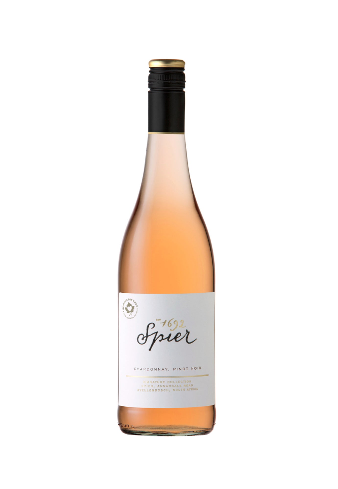 Spier Rose 2023