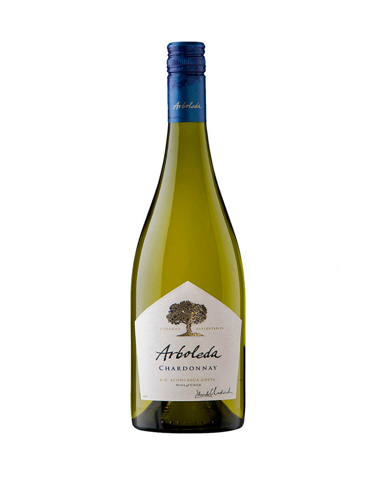 Arboleda Chardonnay 2019