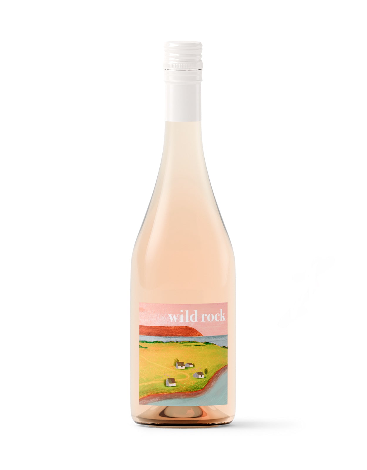 Benjamin Bridge Rose 'Wild Rock' 2023