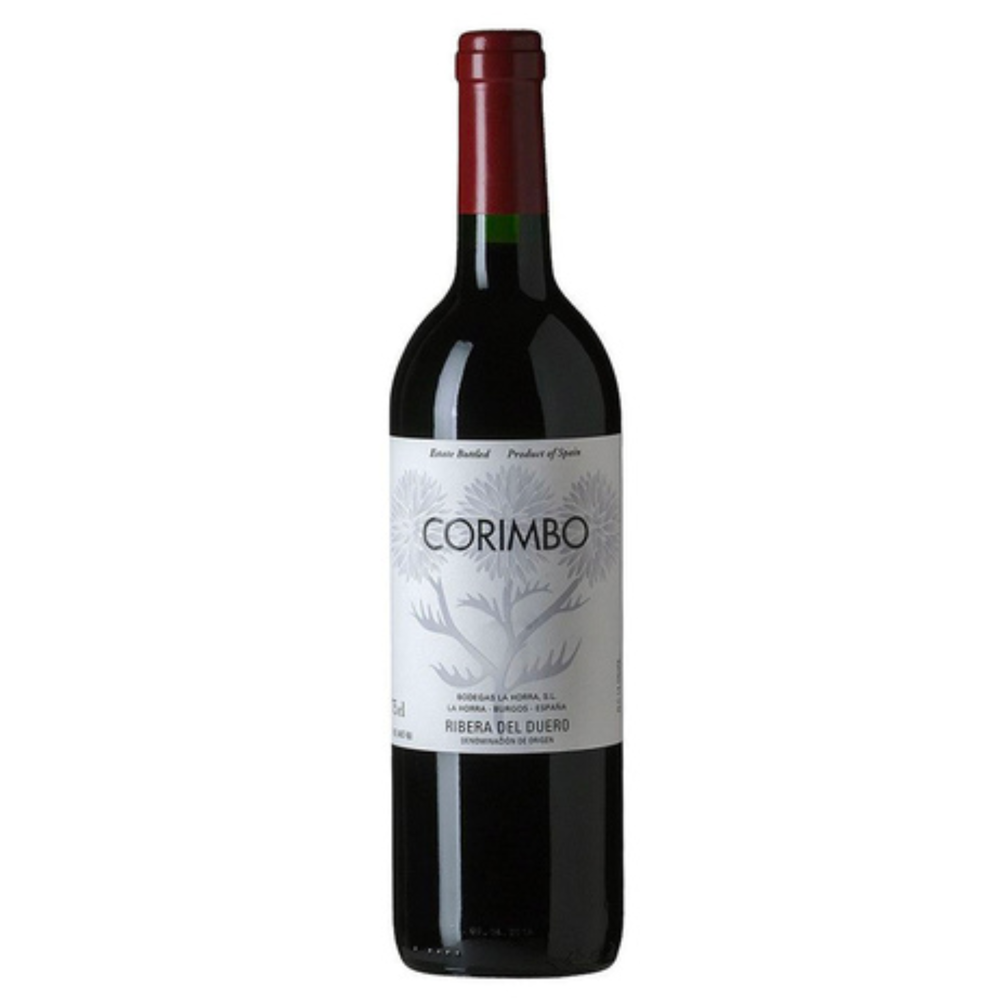 Corimbo 2015