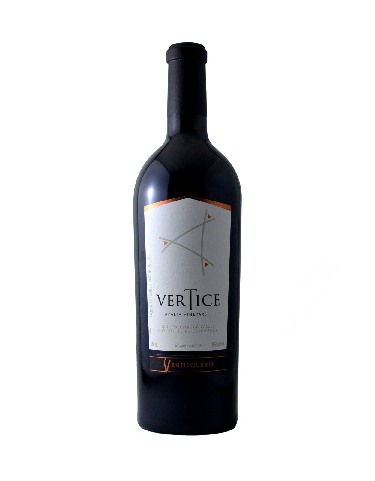Ventisquero Vertice 2019