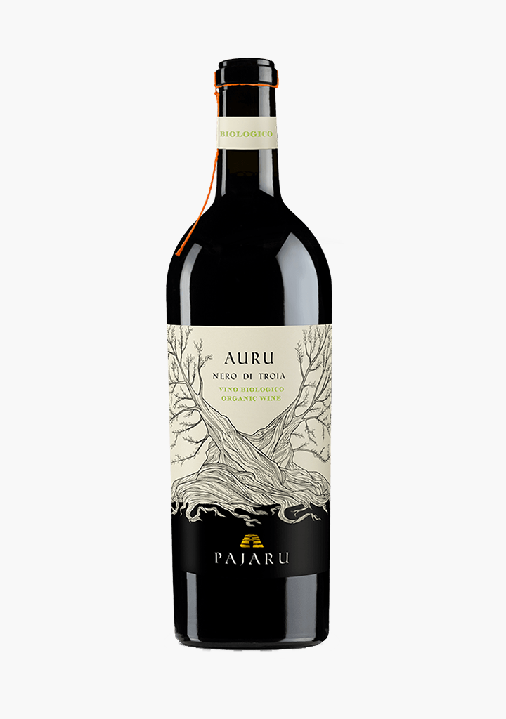 Pajaru Nero Di Troia 'AURU' 2020