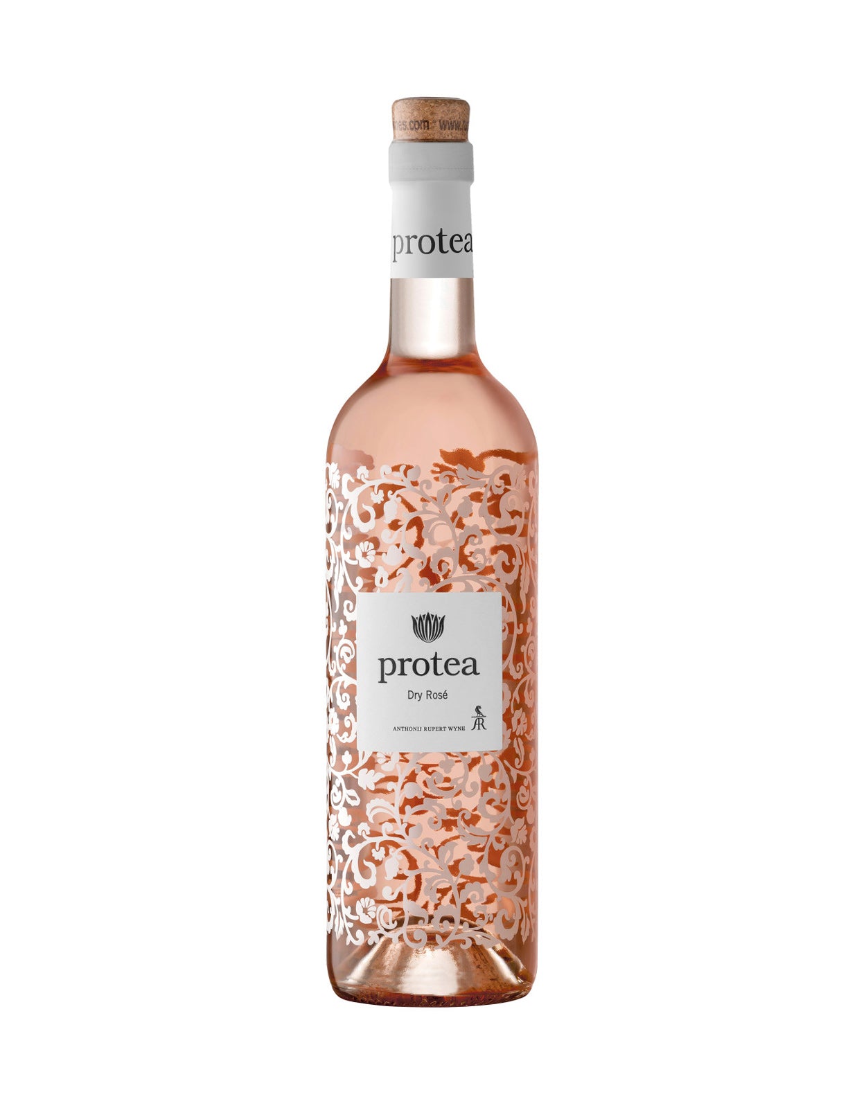 Protea Dry Rose 2024