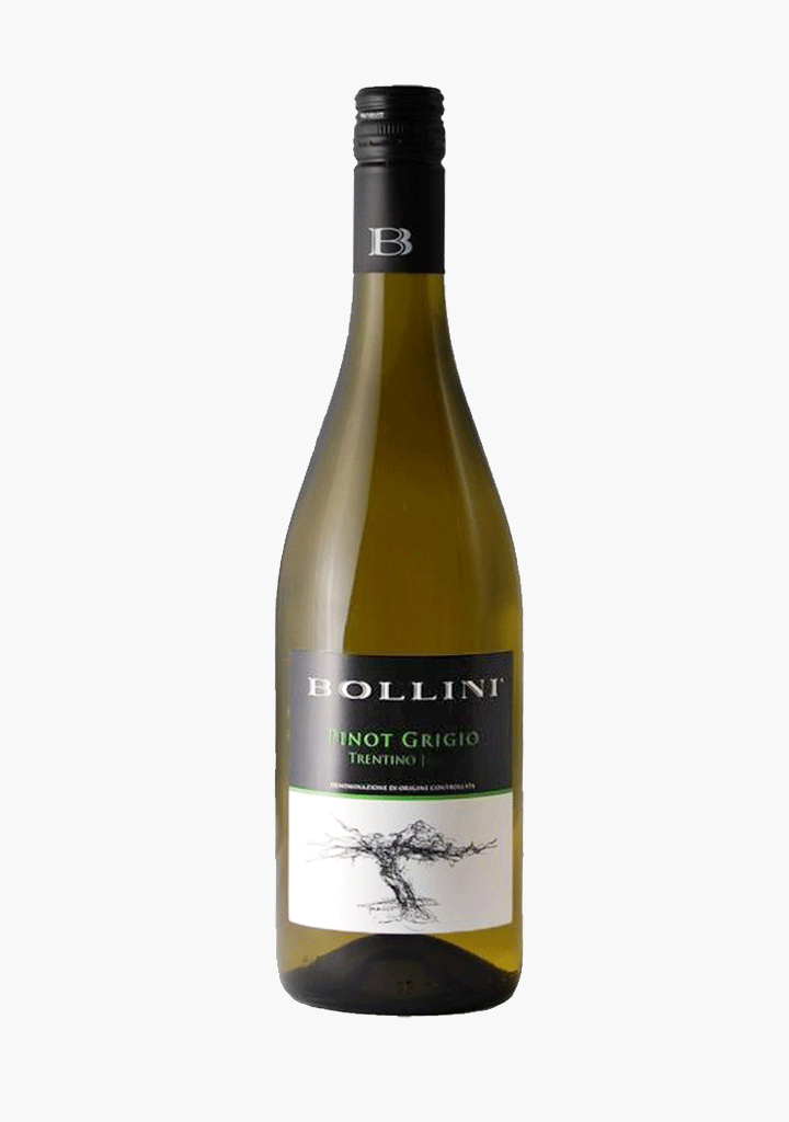 Bollini Pinot Grigio Trentino 2023