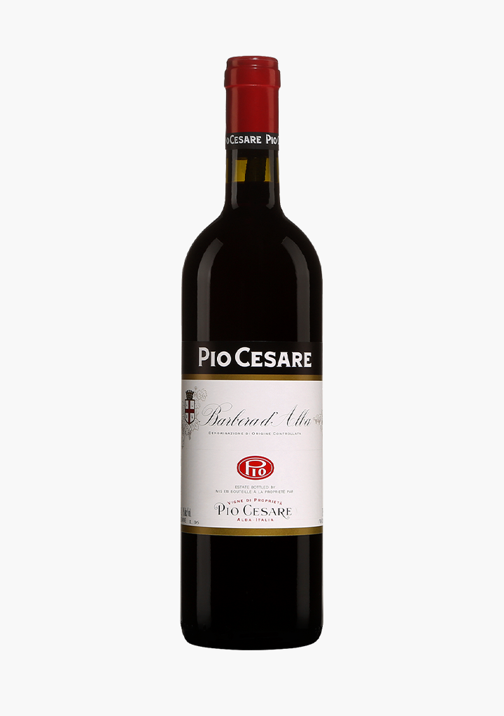 Pio Cesare Barbera d'Alba 2021
