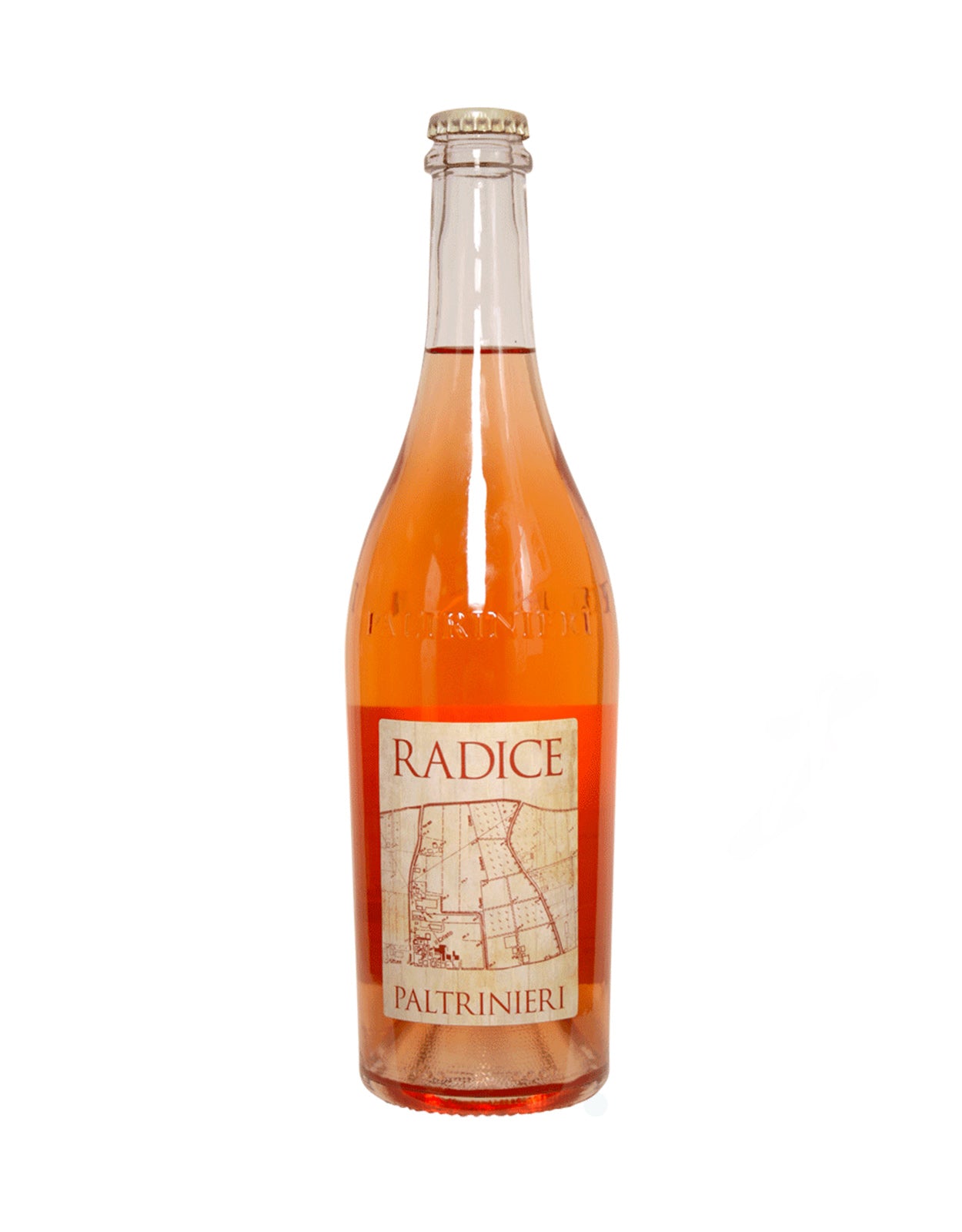 Paltrinieri Radice Rose 2022