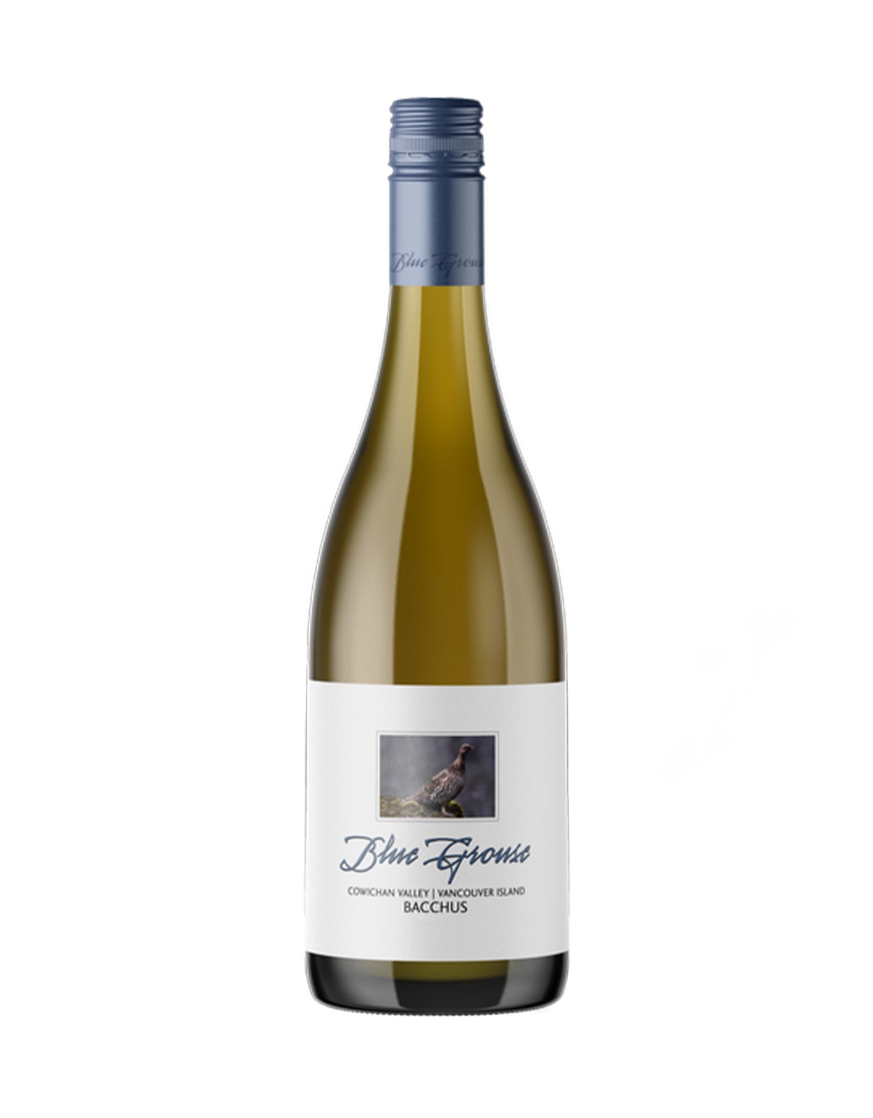 Blue Grouse Chardonnay 2023
