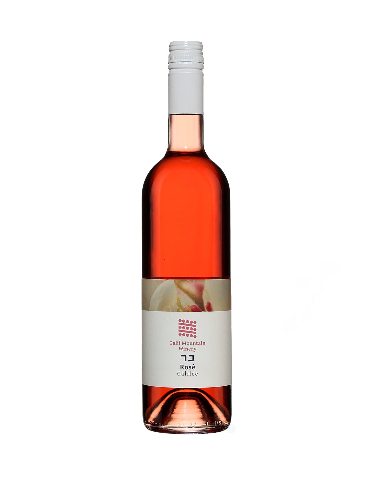 Galil Mountain Rose Galilee 2023