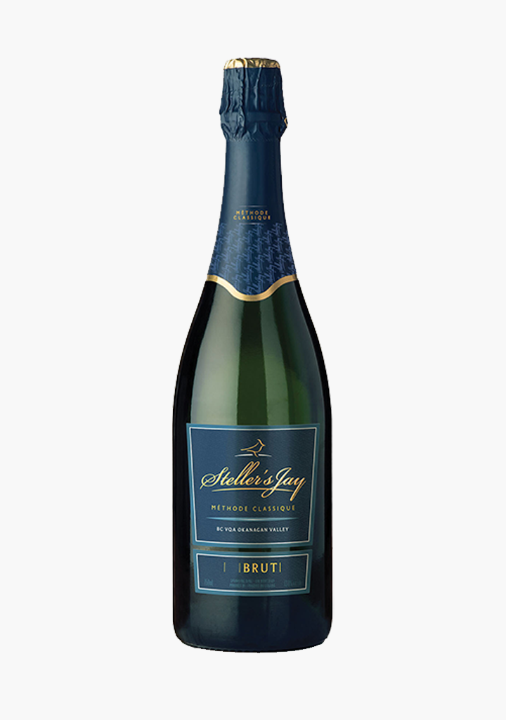 Steller's Jay Brut