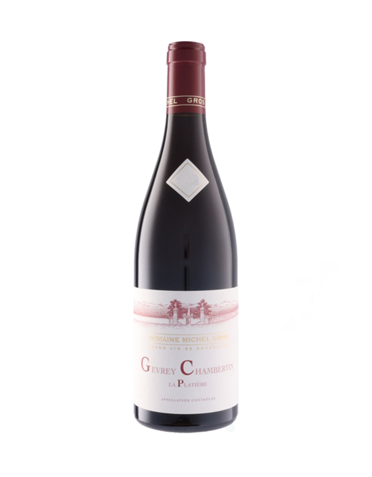 Domaine Michel Gros Gevrey Chambertin 'La Platiere' 2022