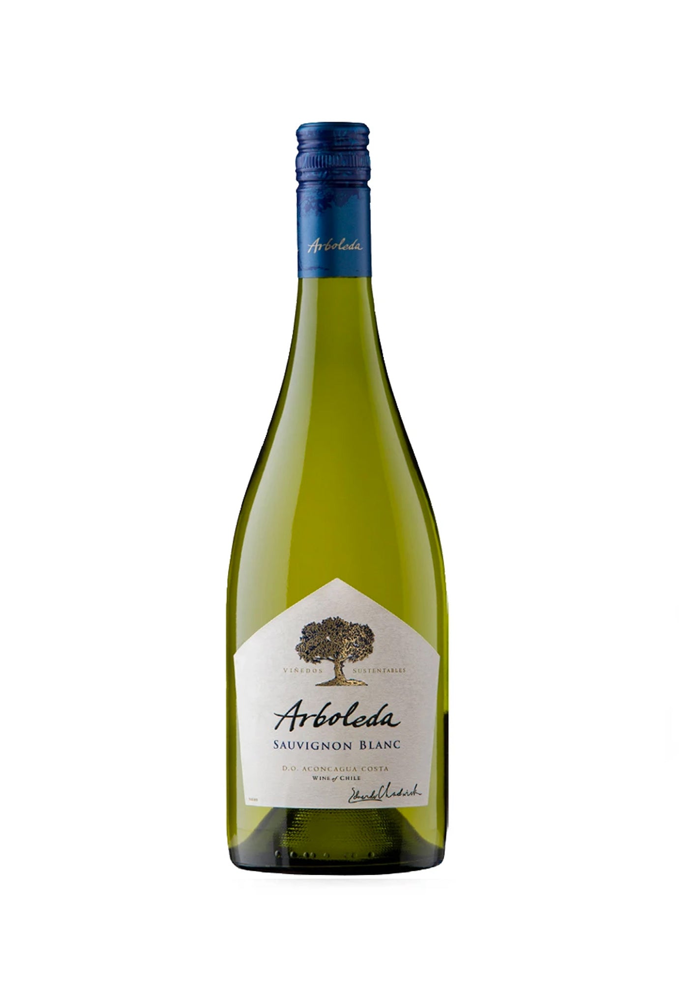 Arboleda Sauvignon Blanc 2021