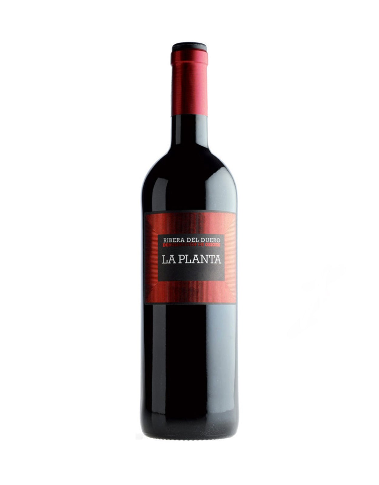 Bodegas Arzuaga 'La Planta' Tempranillo 2021