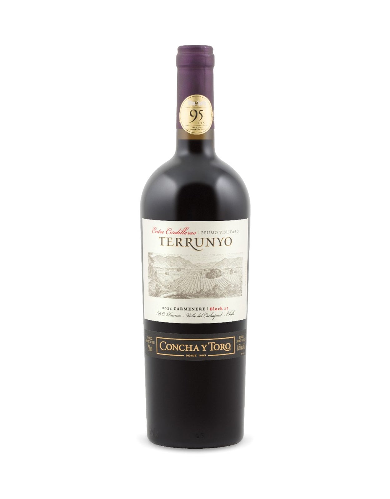 Terrunyo Block 27 Carmenere 2017
