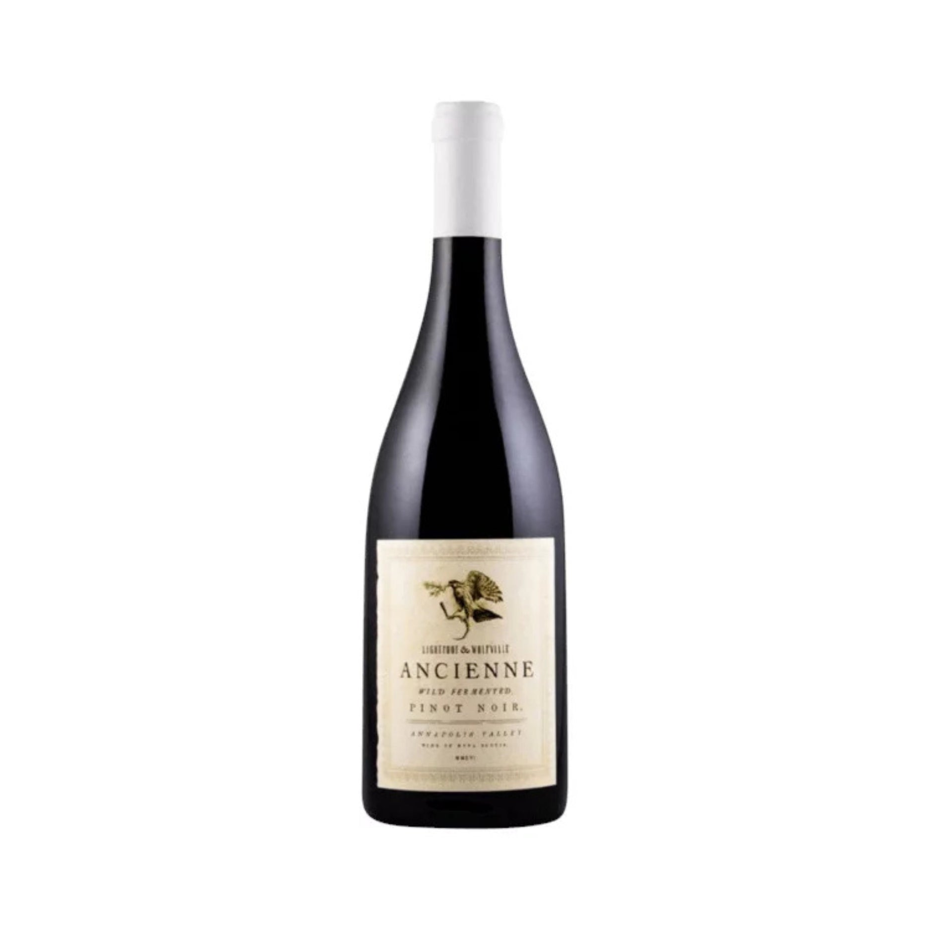 LIGHTFOOT & WOLFVILLE ANCIENNE PINOT NOIR