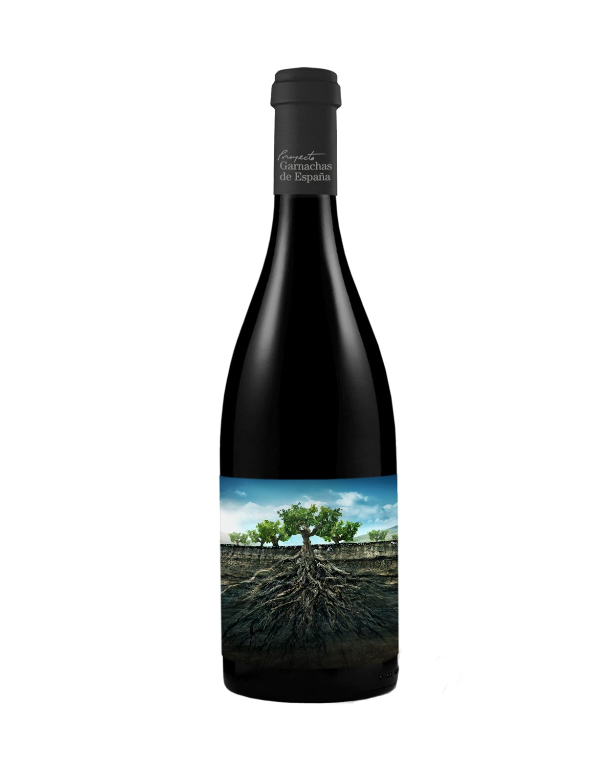 Vintae Proyecto Garnachas de Espana Salvaje del Moncayo 2021