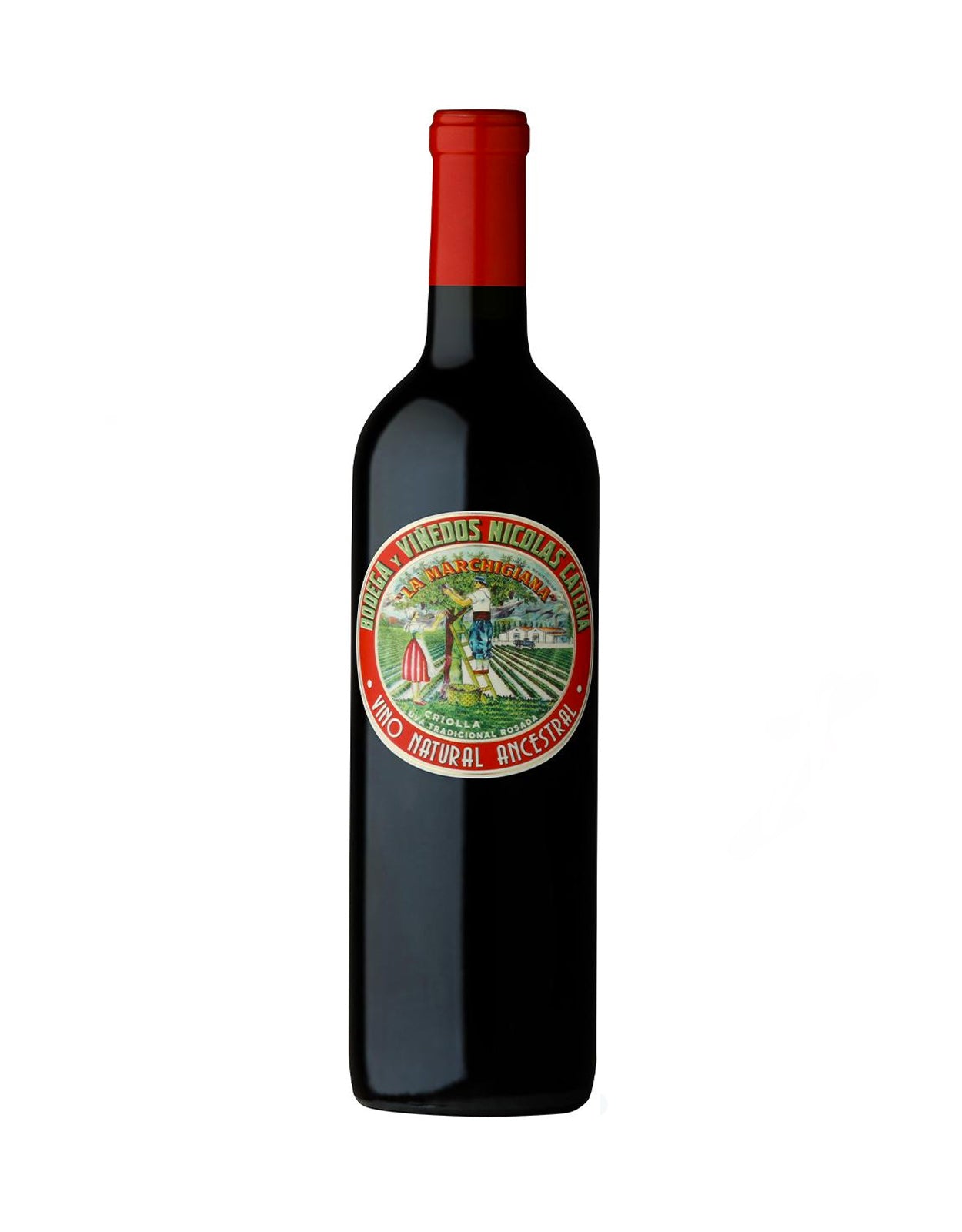 Catena Criolla Chica 'La Marchigiana' - 6 Bottles